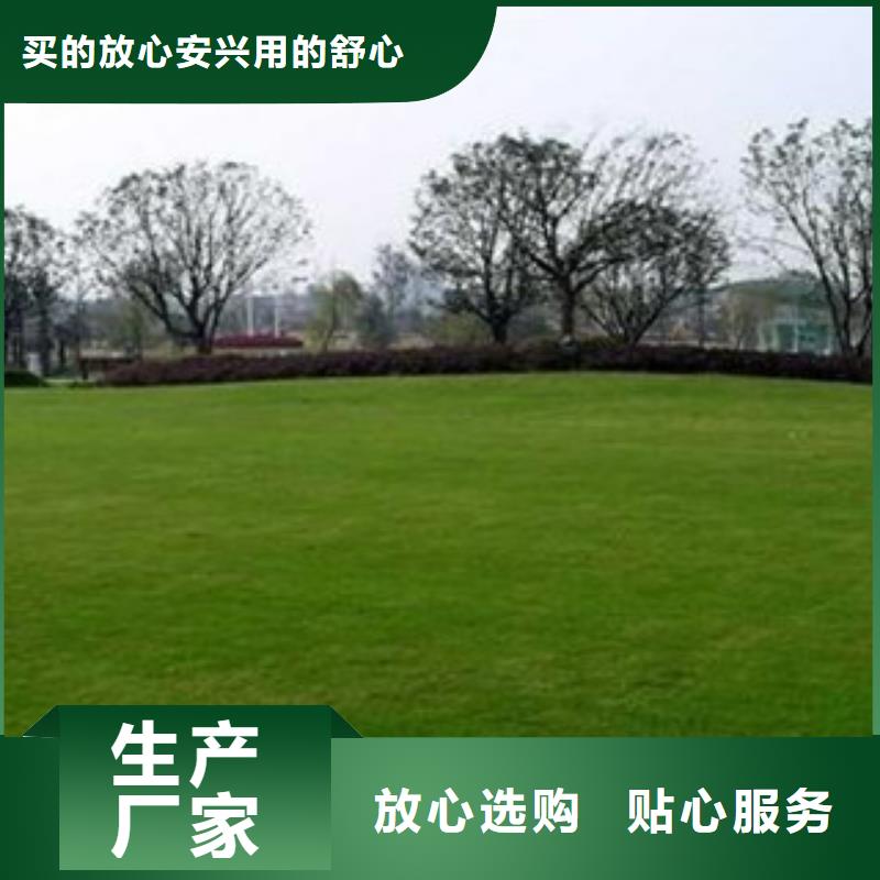 人造草坪质检合格出厂