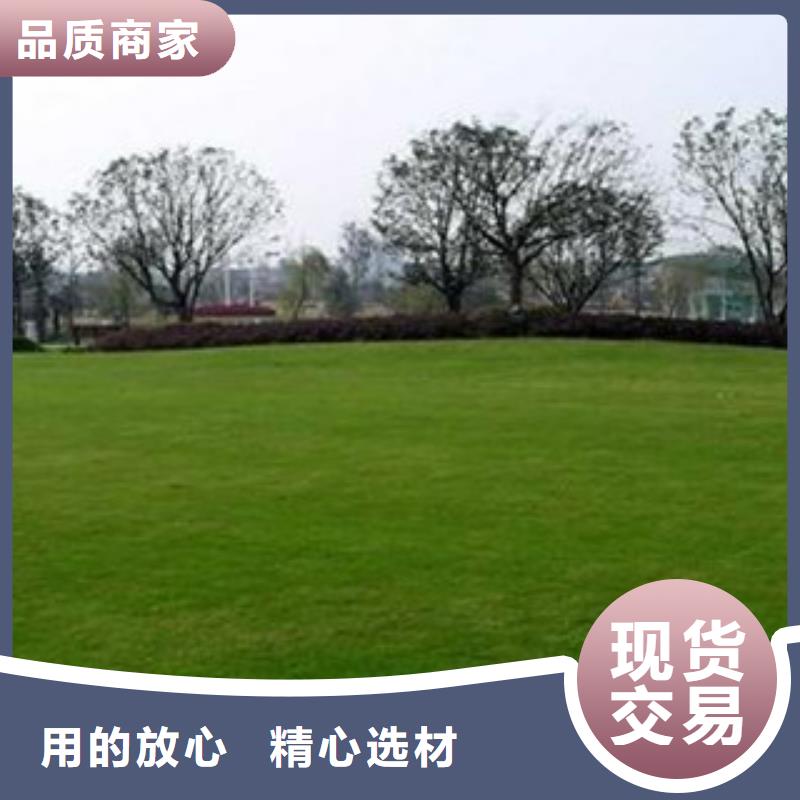 【人造草坪】-室外健身器材品牌专营