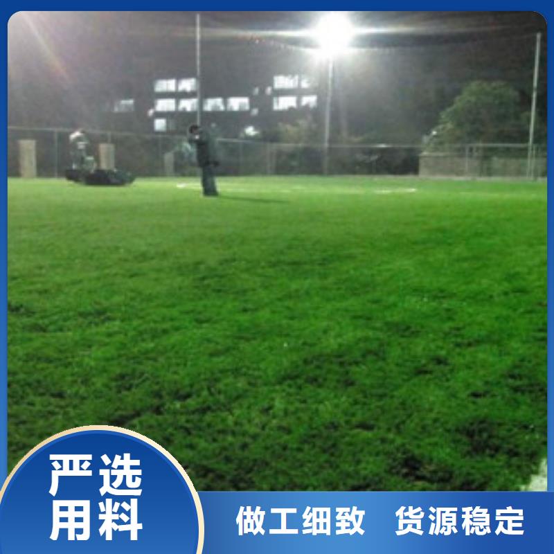 人造草坪-塑胶跑道源头厂家供应