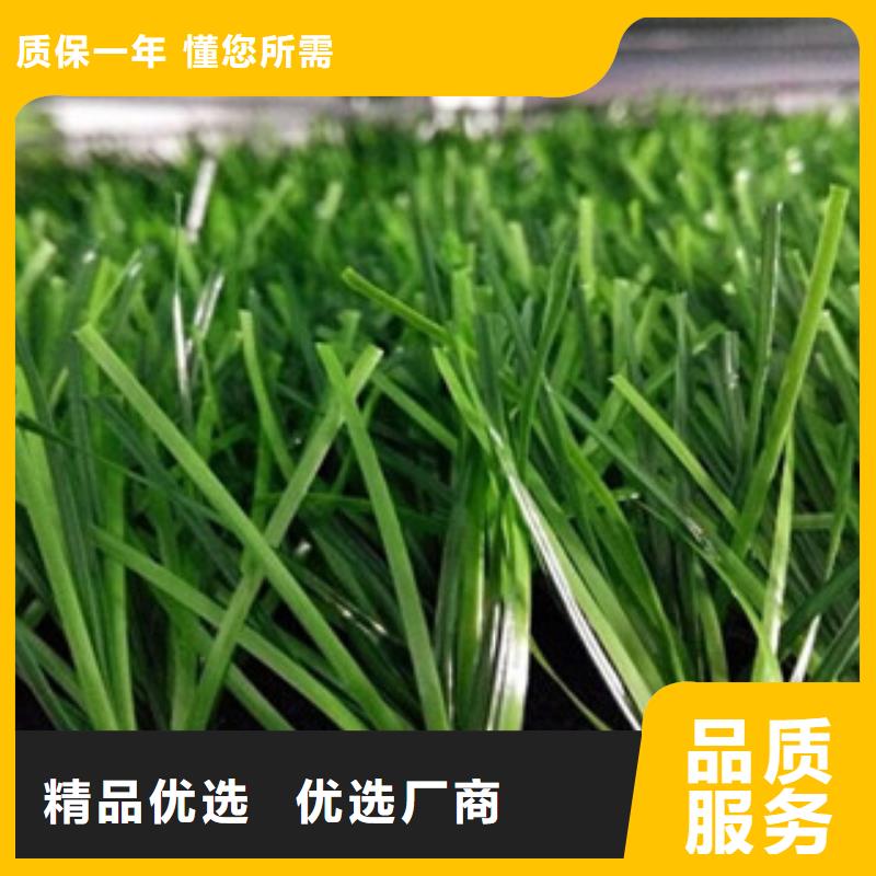 人造草坪质检合格出厂
