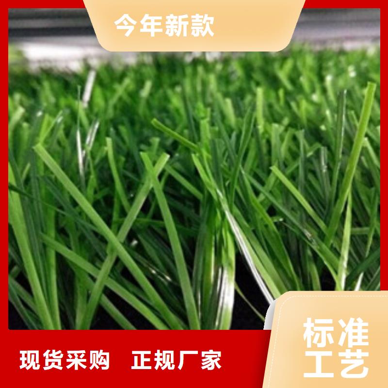 人造草坪_塑胶跑道N年生产经验