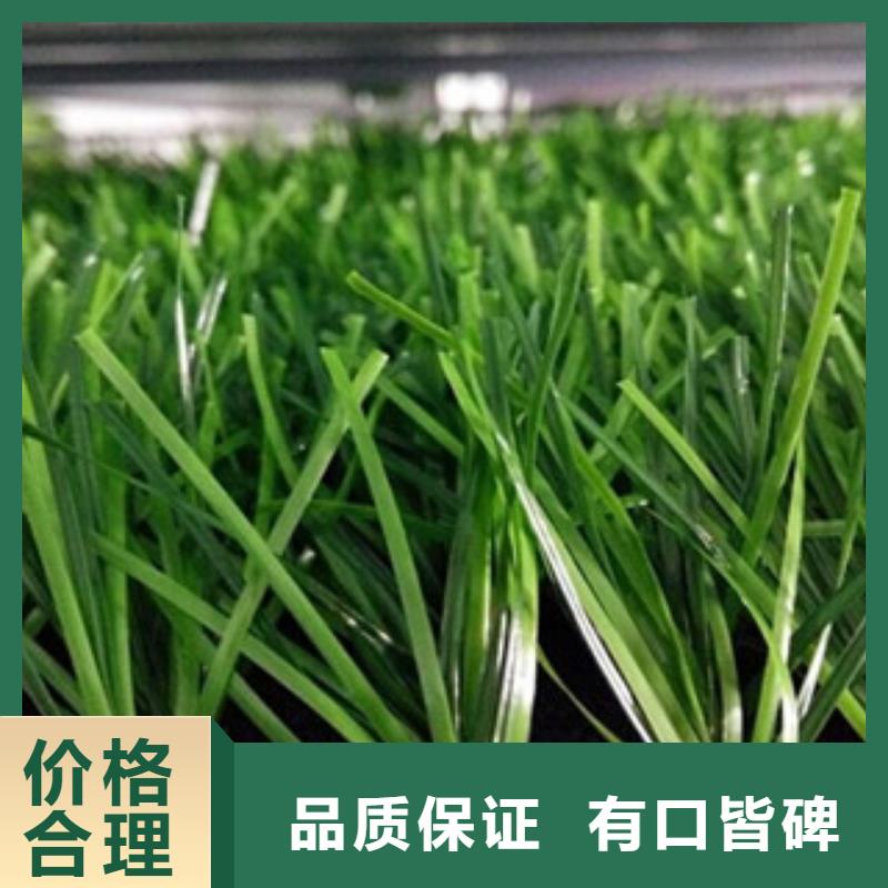 人造草坪-塑胶跑道源头厂家供应