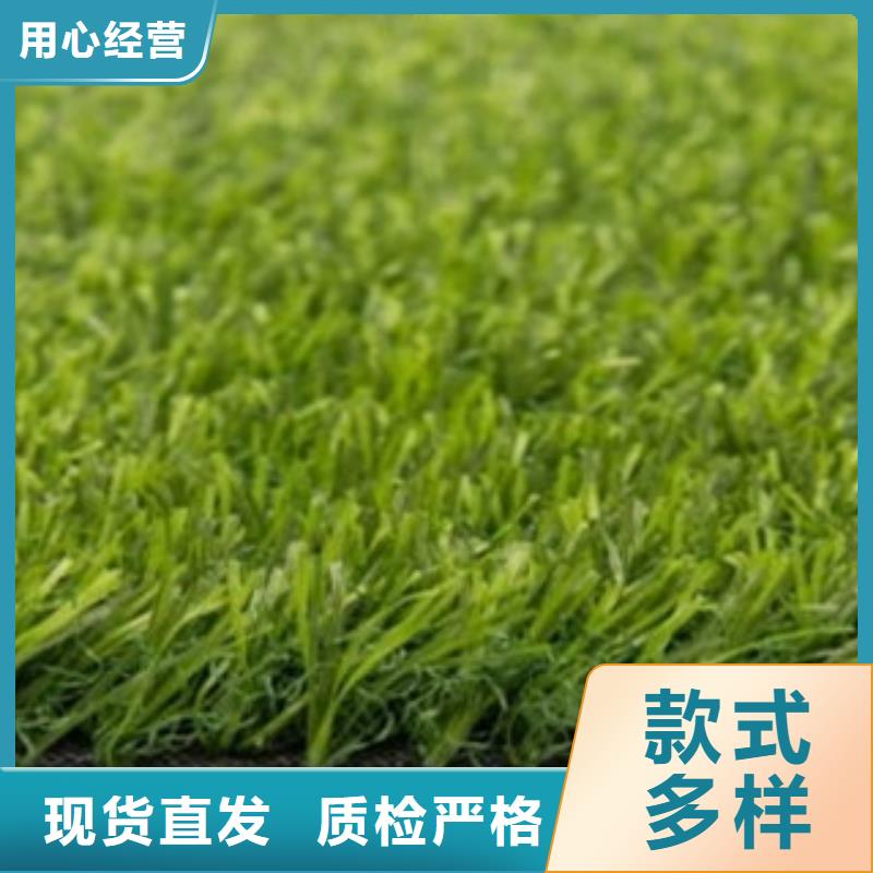 人造草坪-塑胶跑道源头厂家供应