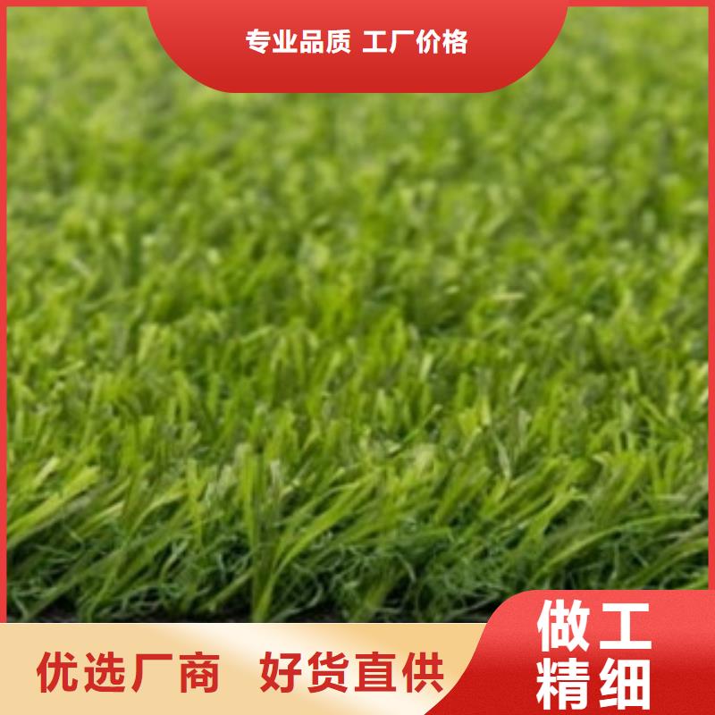 人造草坪_塑胶跑道N年生产经验