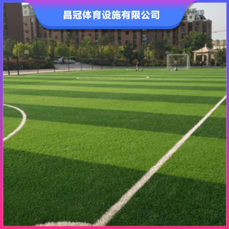 人造草坪-塑胶跑道源头厂家供应