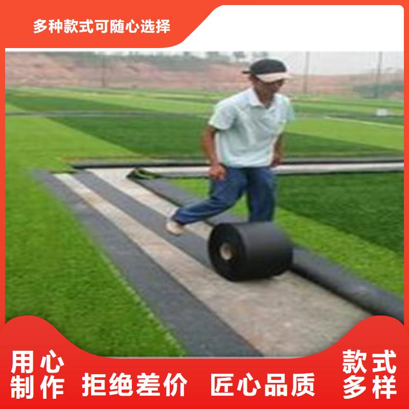 人造草坪-塑胶跑道源头厂家供应