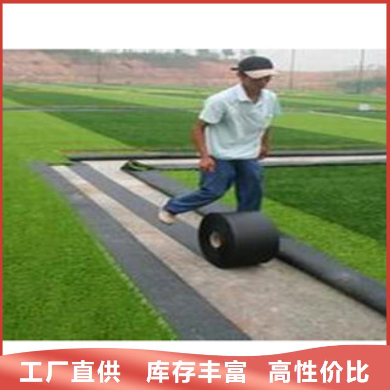 人造草坪_塑胶跑道N年生产经验