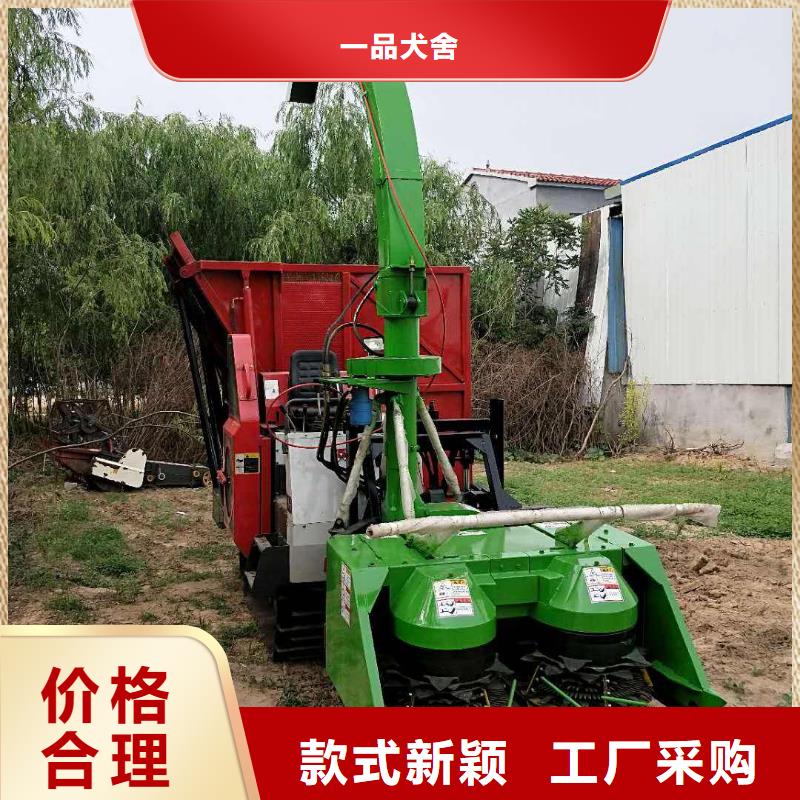 卡斯罗犬-视频-卡斯罗犬(一品)覆盖地域湖北省咸宁市崇阳|咸安|襄阳|十堰|鄂州|孝感