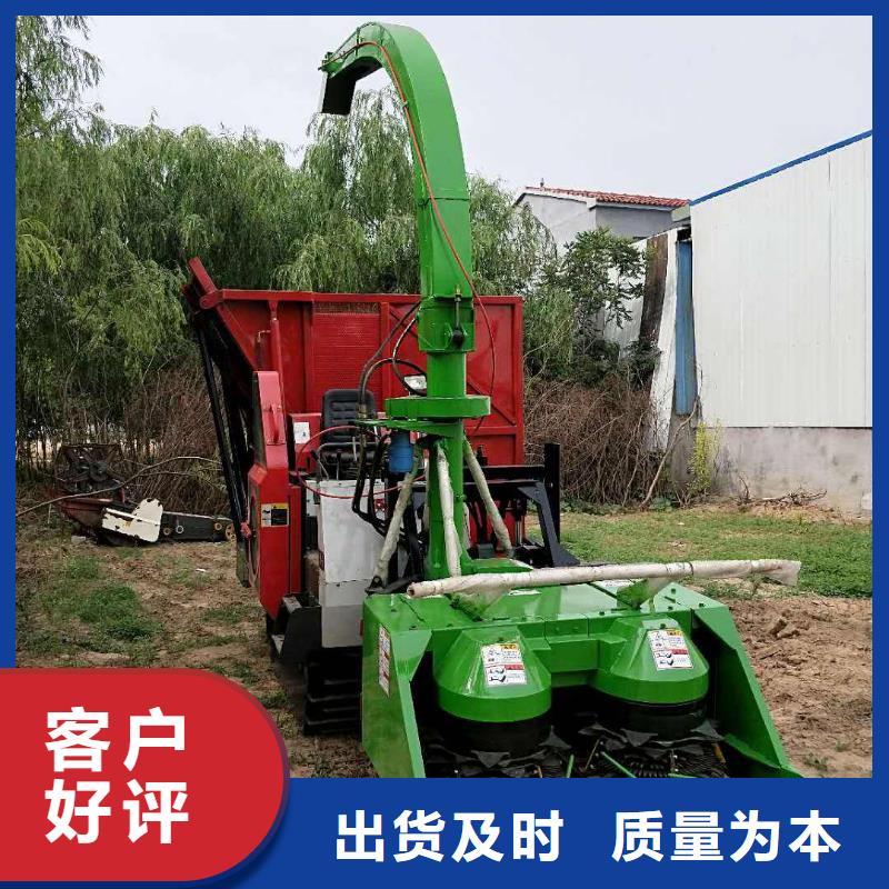 卡斯罗犬-视频-卡斯罗犬(一品)覆盖地域贵州省铜仁市江口|碧江|黔东南|六盘水|遵义|黔南|毕节