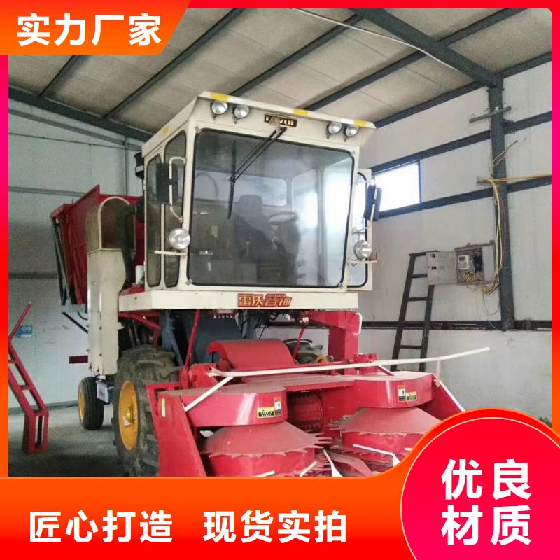 卡斯罗犬-视频-卡斯罗犬(一品)覆盖地域四川省自贡市沿滩|自流井|宜宾|凉山|阿坝|巴中|广元|成都|眉山