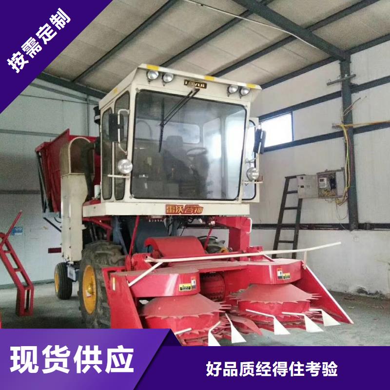 卡斯罗犬-视频-卡斯罗犬(一品)覆盖地域湖北省咸宁市崇阳|咸安|襄阳|十堰|鄂州|孝感