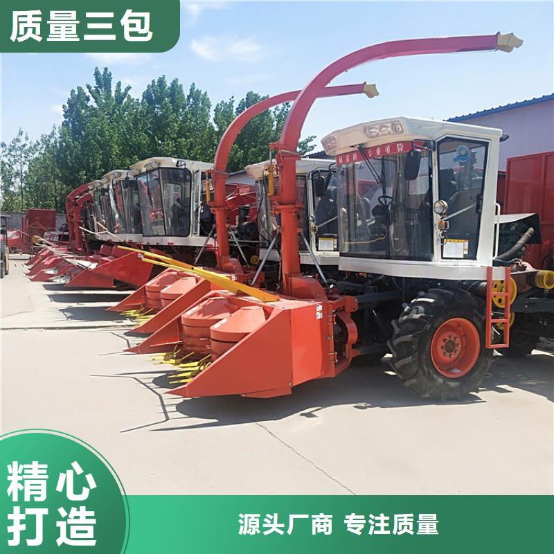 卡斯罗犬-视频-卡斯罗犬(一品)覆盖地域贵州省铜仁市江口|碧江|黔东南|六盘水|遵义|黔南|毕节