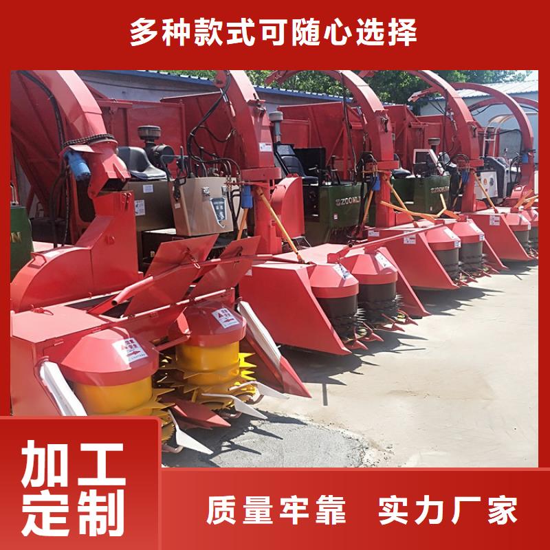 青储机,高加索犬厂家定制
