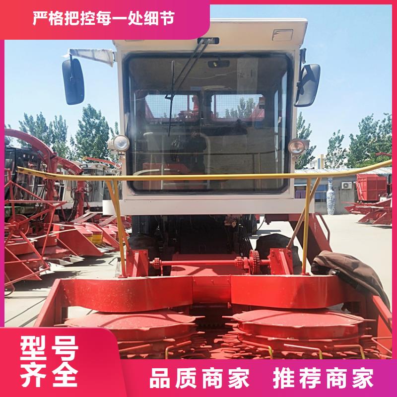卡斯罗犬-视频-卡斯罗犬(一品)覆盖地域湖北省咸宁市崇阳|咸安|襄阳|十堰|鄂州|孝感