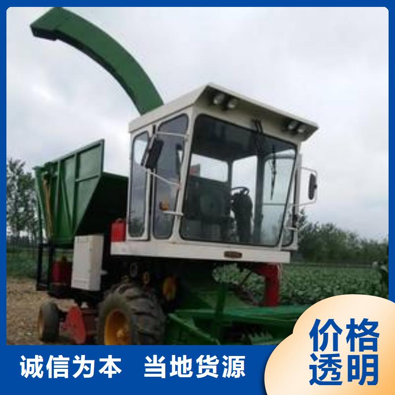 青储机,高加索犬厂家定制
