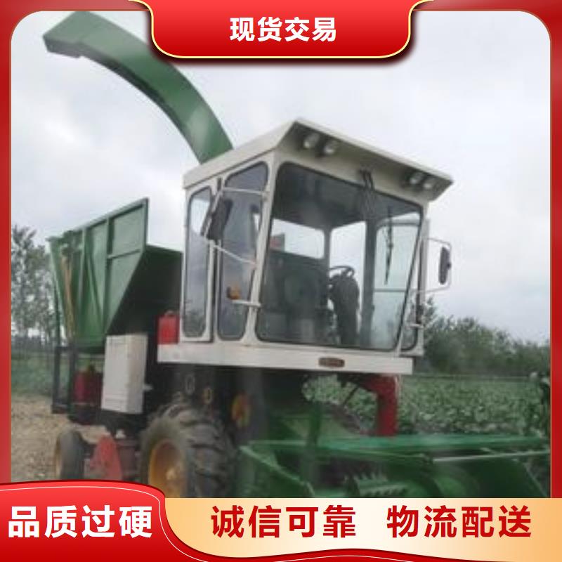 卡斯罗犬-视频-卡斯罗犬(一品)覆盖地域湖北省咸宁市崇阳|咸安|襄阳|十堰|鄂州|孝感