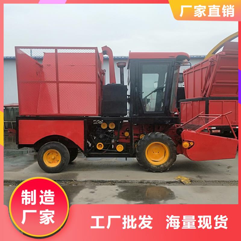 卡斯罗犬-视频-卡斯罗犬(一品)覆盖地域四川省自贡市沿滩|自流井|宜宾|凉山|阿坝|巴中|广元|成都|眉山