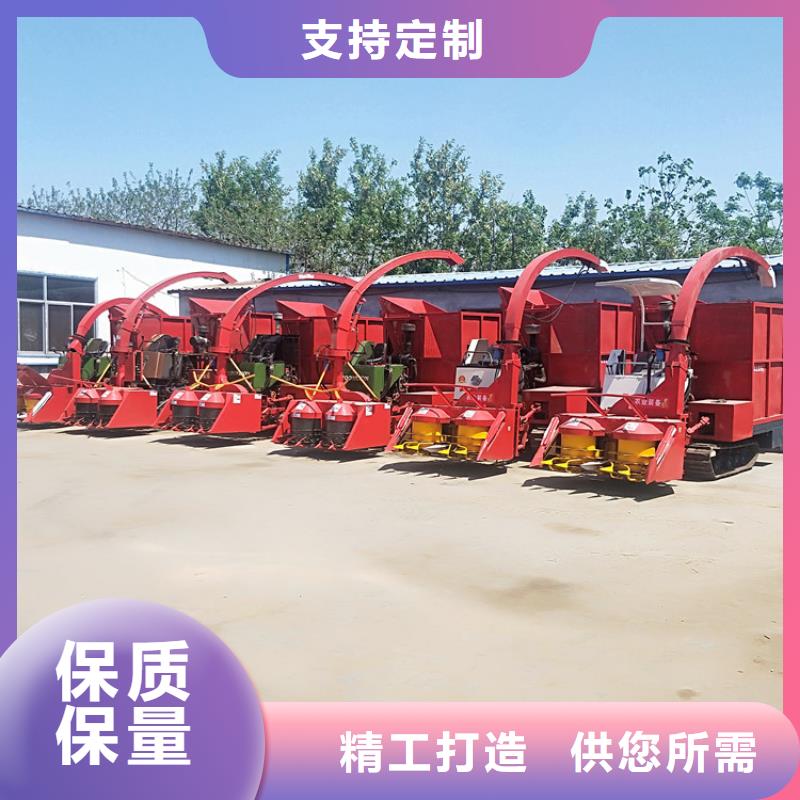 青储机马犬工厂批发