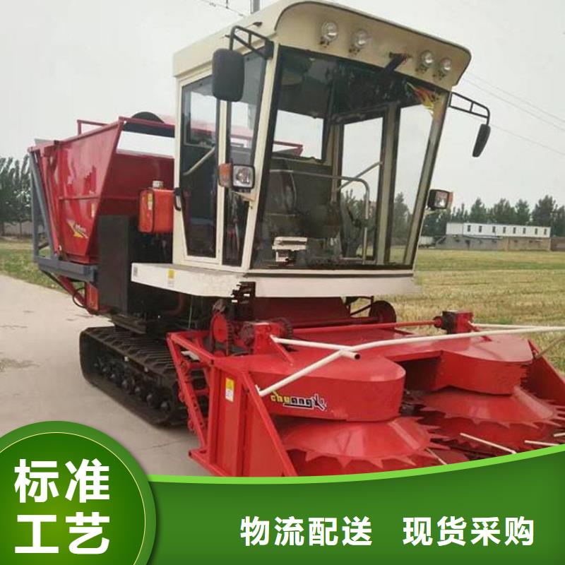 卡斯罗犬-视频-卡斯罗犬(一品)覆盖地域贵州省铜仁市江口|碧江|黔东南|六盘水|遵义|黔南|毕节