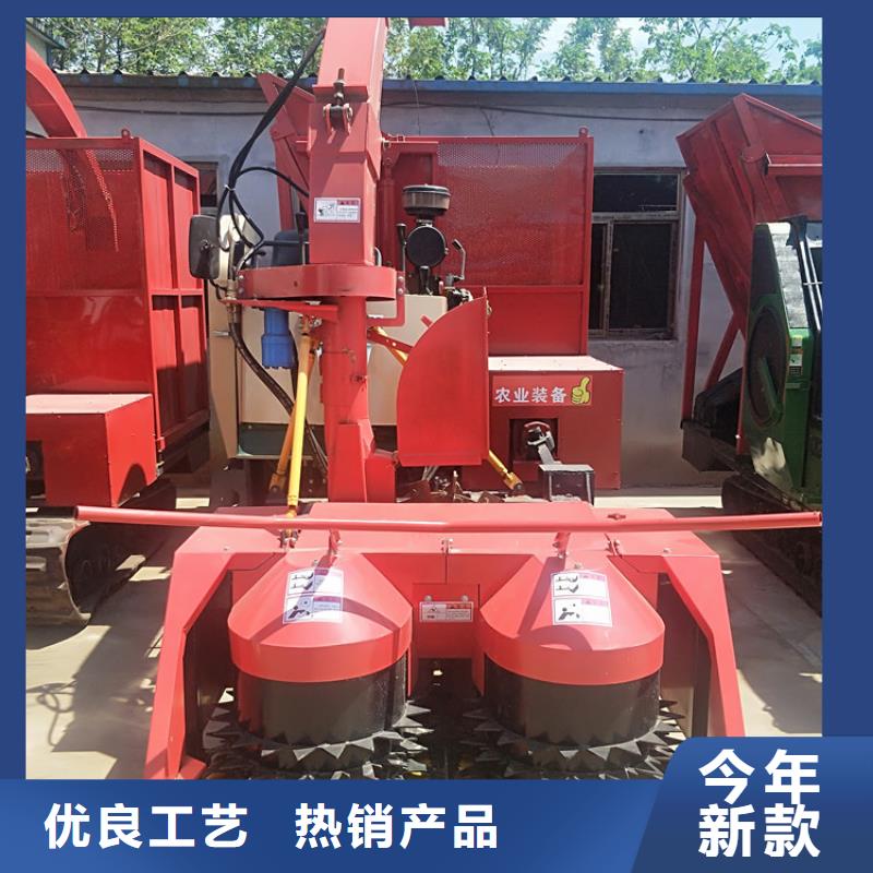 卡斯罗犬-视频-卡斯罗犬(一品)覆盖地域四川省自贡市沿滩|自流井|宜宾|凉山|阿坝|巴中|广元|成都|眉山