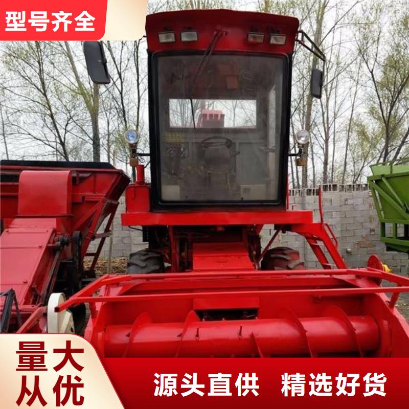 卡斯罗犬-视频-卡斯罗犬(一品)覆盖地域贵州省铜仁市江口|碧江|黔东南|六盘水|遵义|黔南|毕节