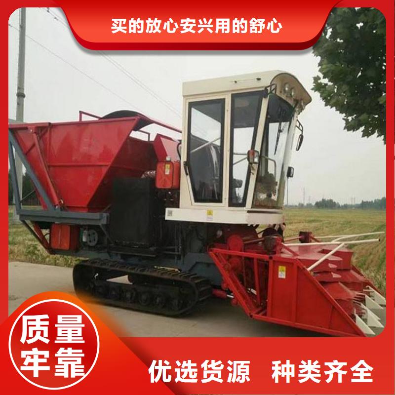 卡斯罗犬-视频-卡斯罗犬(一品)覆盖地域四川省自贡市沿滩|自流井|宜宾|凉山|阿坝|巴中|广元|成都|眉山