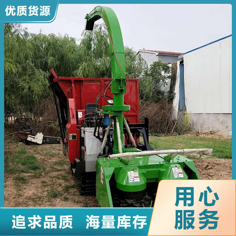 青储机杜宾犬选择我们没错