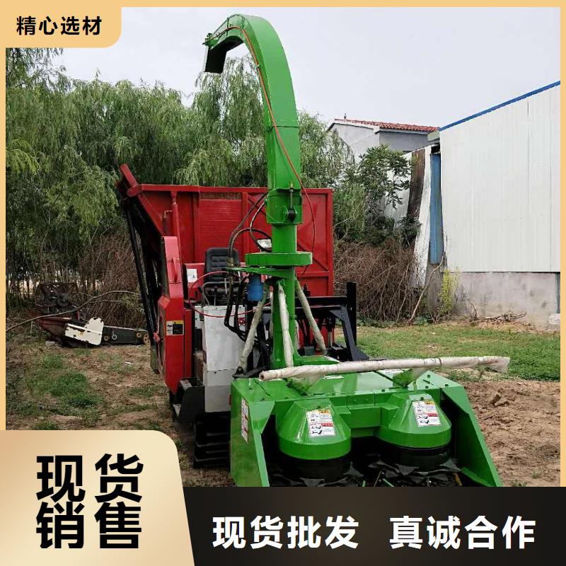 青储机德牧犬厂诚信经营