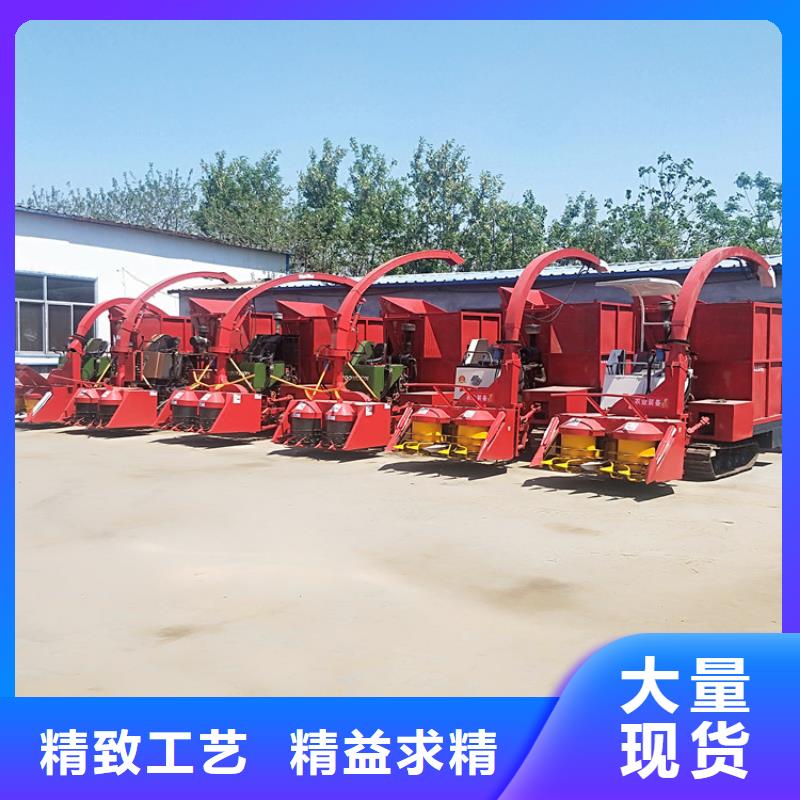 卡斯罗犬-视频-卡斯罗犬(一品)覆盖地域四川省自贡市沿滩|自流井|宜宾|凉山|阿坝|巴中|广元|成都|眉山