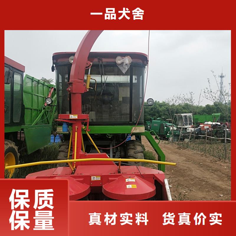 卡斯罗犬-视频-卡斯罗犬(一品)覆盖地域四川省自贡市沿滩|自流井|宜宾|凉山|阿坝|巴中|广元|成都|眉山