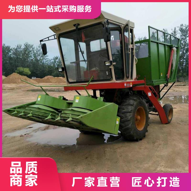 卡斯罗犬-视频-卡斯罗犬(一品)覆盖地域湖北省咸宁市崇阳|咸安|襄阳|十堰|鄂州|孝感