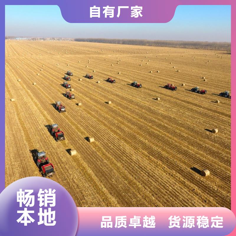打捆机_罗威纳犬现货充足
