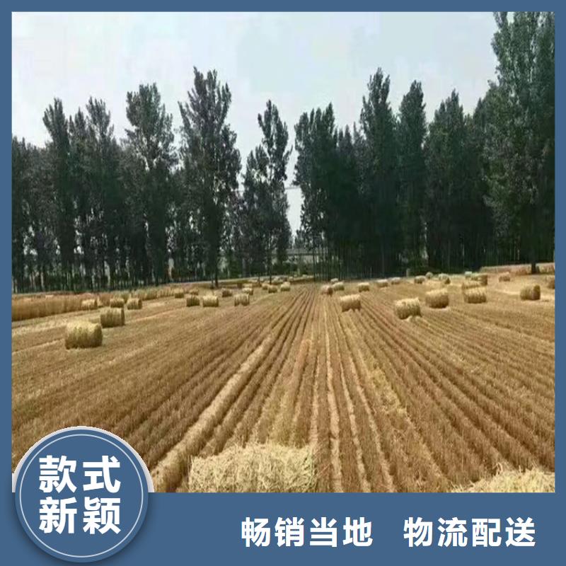 打捆机德牧犬技术先进