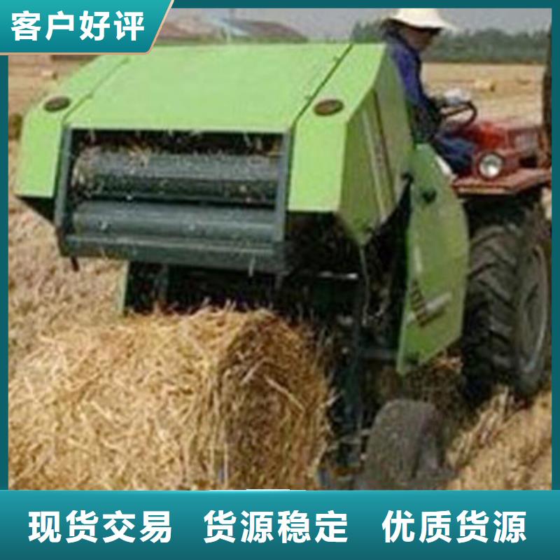 卡斯罗犬-视频-秦安|清水|甘南|金昌|酒泉|嘉峪关|武威|定西|临夏一品卡斯罗犬_ 一品犬舍(天水市分公司)