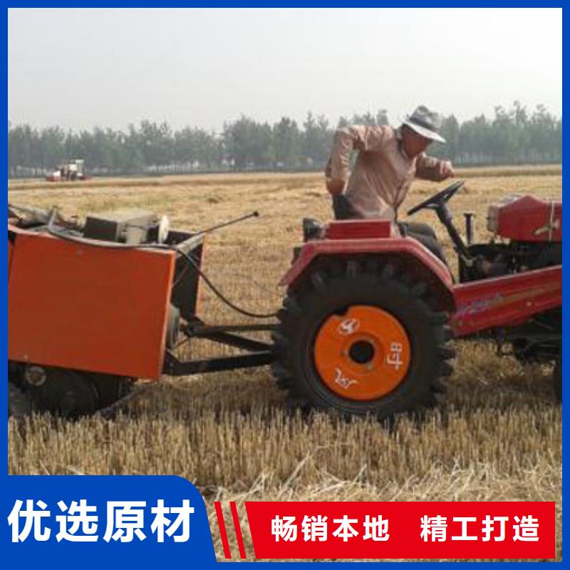 卡斯罗犬-视频-秦安|清水|甘南|金昌|酒泉|嘉峪关|武威|定西|临夏一品卡斯罗犬_ 一品犬舍(天水市分公司)