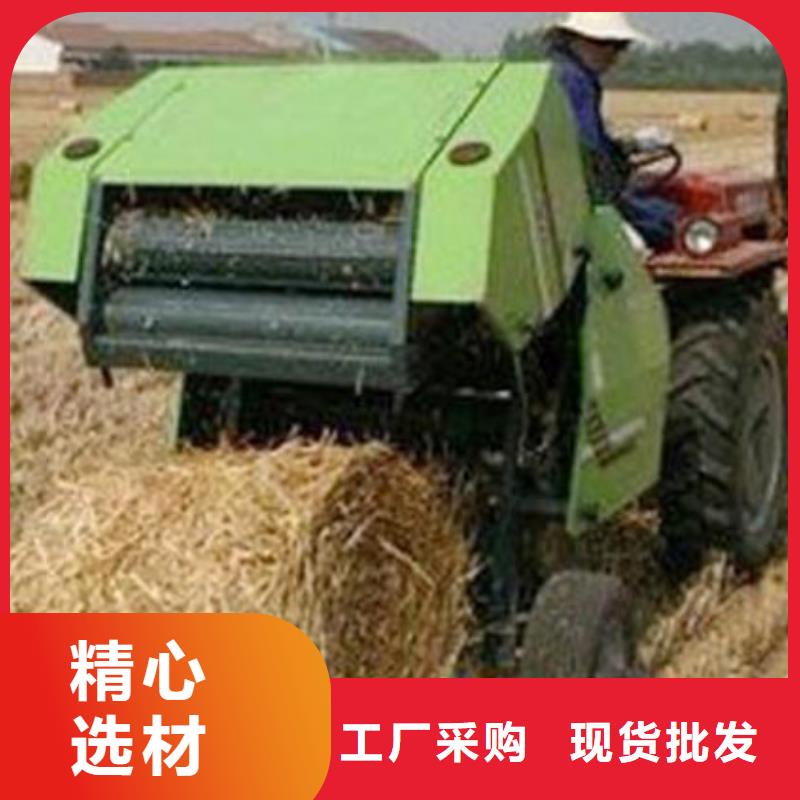 打捆机德牧犬大量现货供应