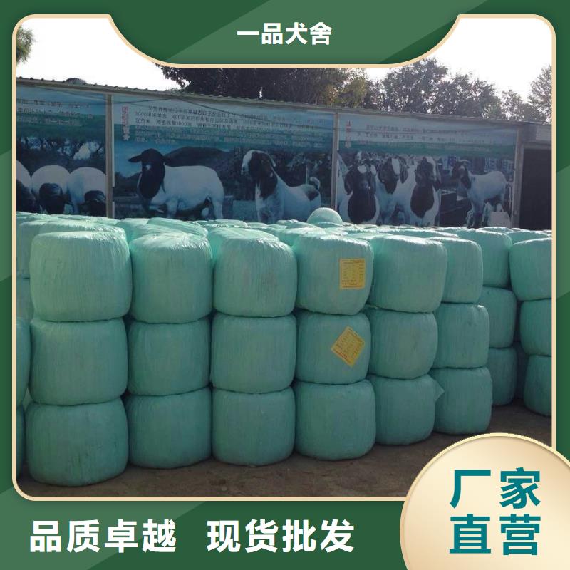 打捆包膜机德牧犬资质认证
