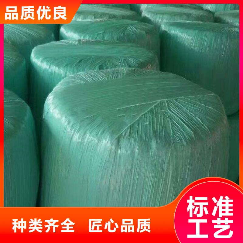 卡斯罗犬-视频-卡斯罗犬|新疆|伊犁|乌鲁木齐|克拉玛依