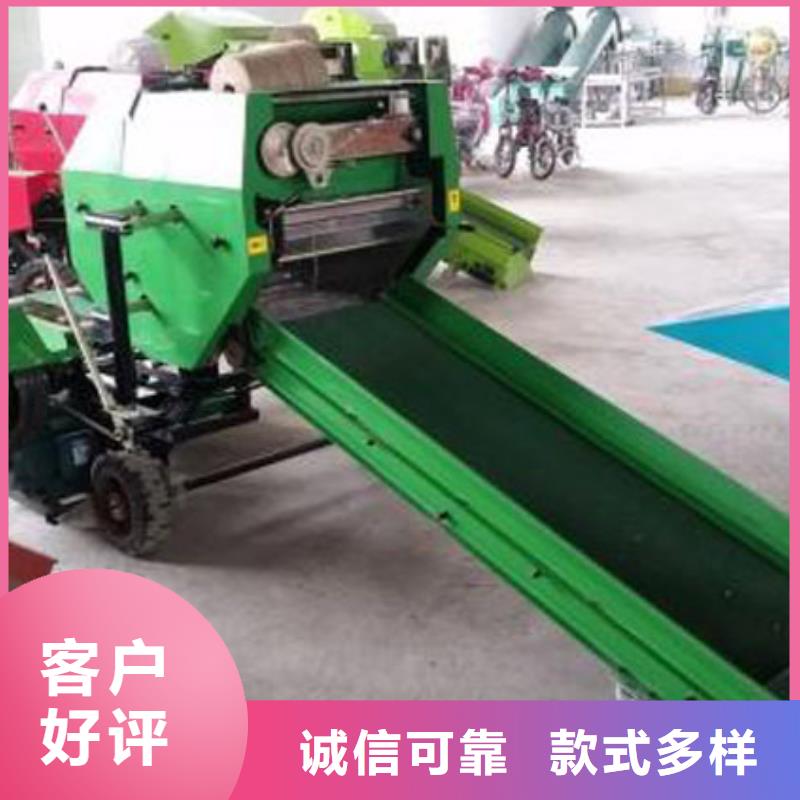 卡斯罗犬-视频-卡斯罗犬-一品犬舍(信阳市分公司)服务区域潢川|罗山|平顶山|开封|驻马店|漯河|商丘|洛阳