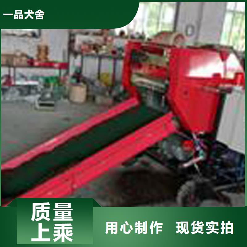 卡斯罗犬-视频-卡斯罗犬|新疆|伊犁|乌鲁木齐|克拉玛依