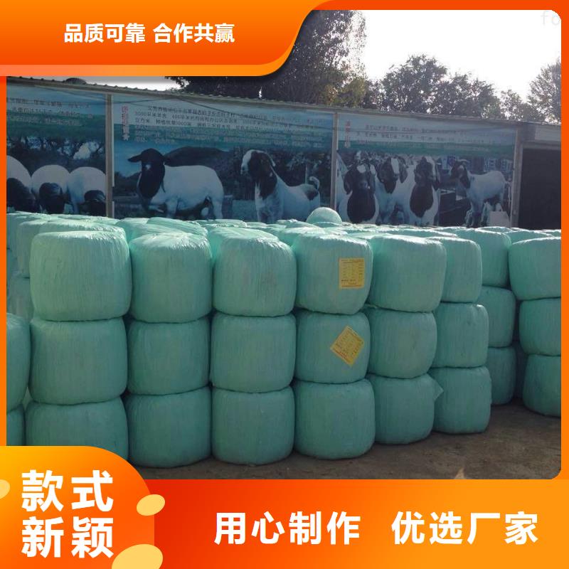 卡斯罗犬-视频-卡斯罗犬_山西省朔州市市场覆盖应县|山阴|大同|太原|吕梁|晋中|晋城等