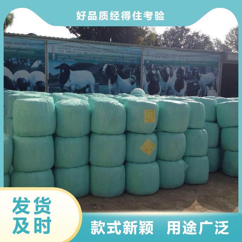 打捆包膜机德牧犬资质认证