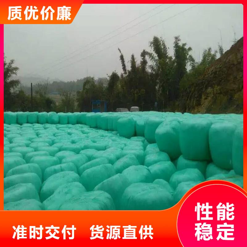 卡斯罗犬-视频-卡斯罗犬-一品犬舍(信阳市分公司)服务区域潢川|罗山|平顶山|开封|驻马店|漯河|商丘|洛阳