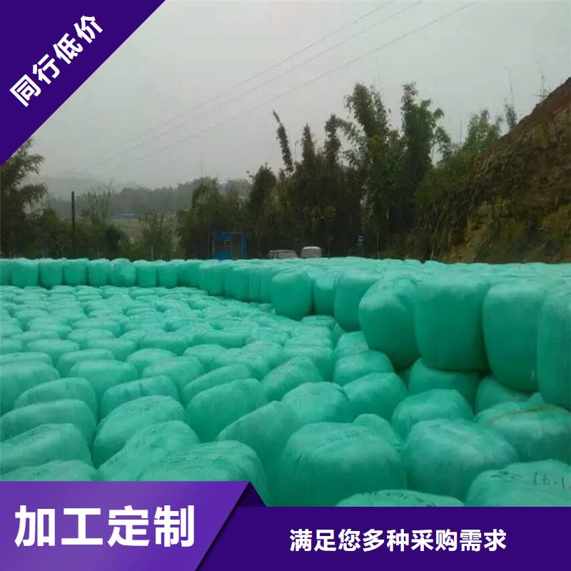卡斯罗犬-视频-卡斯罗犬|新疆|伊犁|乌鲁木齐|克拉玛依