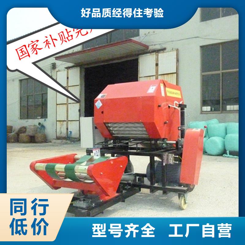 卡斯罗犬-视频-卡斯罗犬_山西省朔州市市场覆盖应县|山阴|大同|太原|吕梁|晋中|晋城等