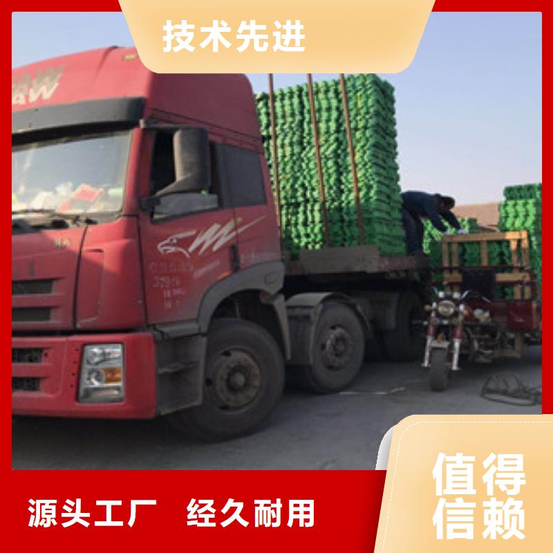 【环保植草格膨润土防水毯厂家专业厂家】