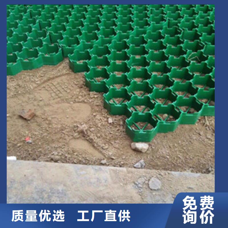 环保植草格_土工膜厂家海量货源