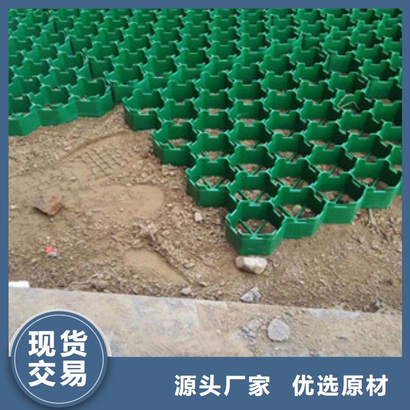 环保植草格-膨润土防水毯厂家经验丰富质量放心