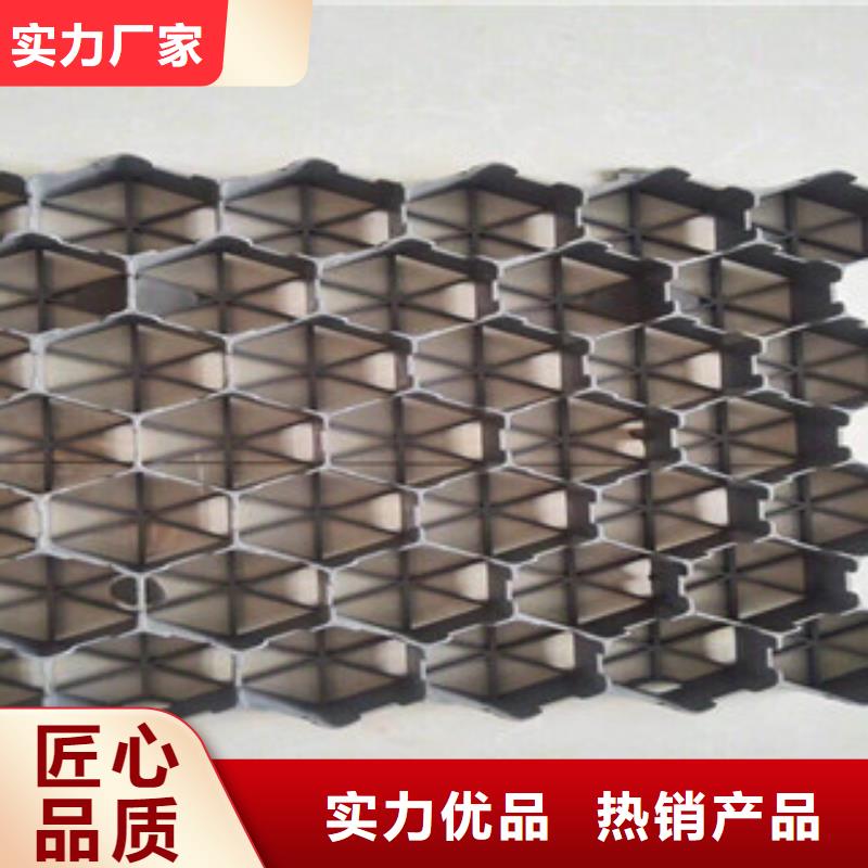 【环保植草格膨润土防水毯厂家专业厂家】