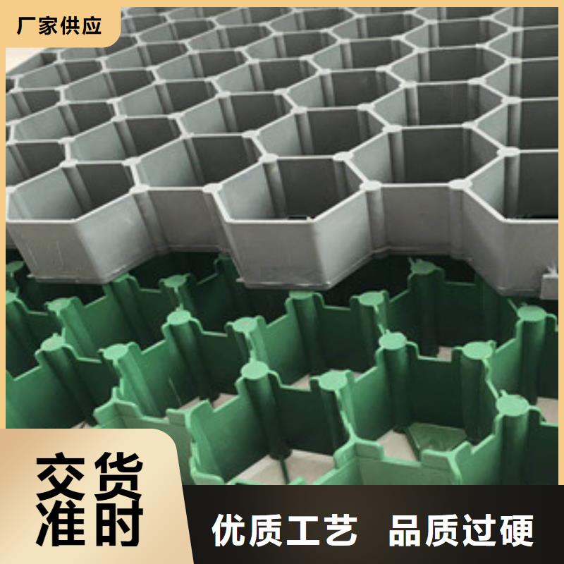 环保植草格_土工膜厂家海量货源